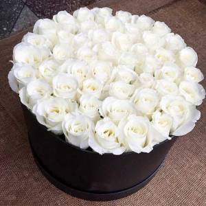 51 белая роза в черной коробке R505